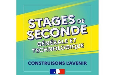 Stages de seconde 