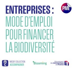 Financer la biodiversité : un nouveau guide pratique pour passer à l'action