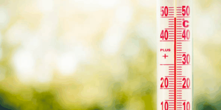 Chaleur De Nouvelles Obligations